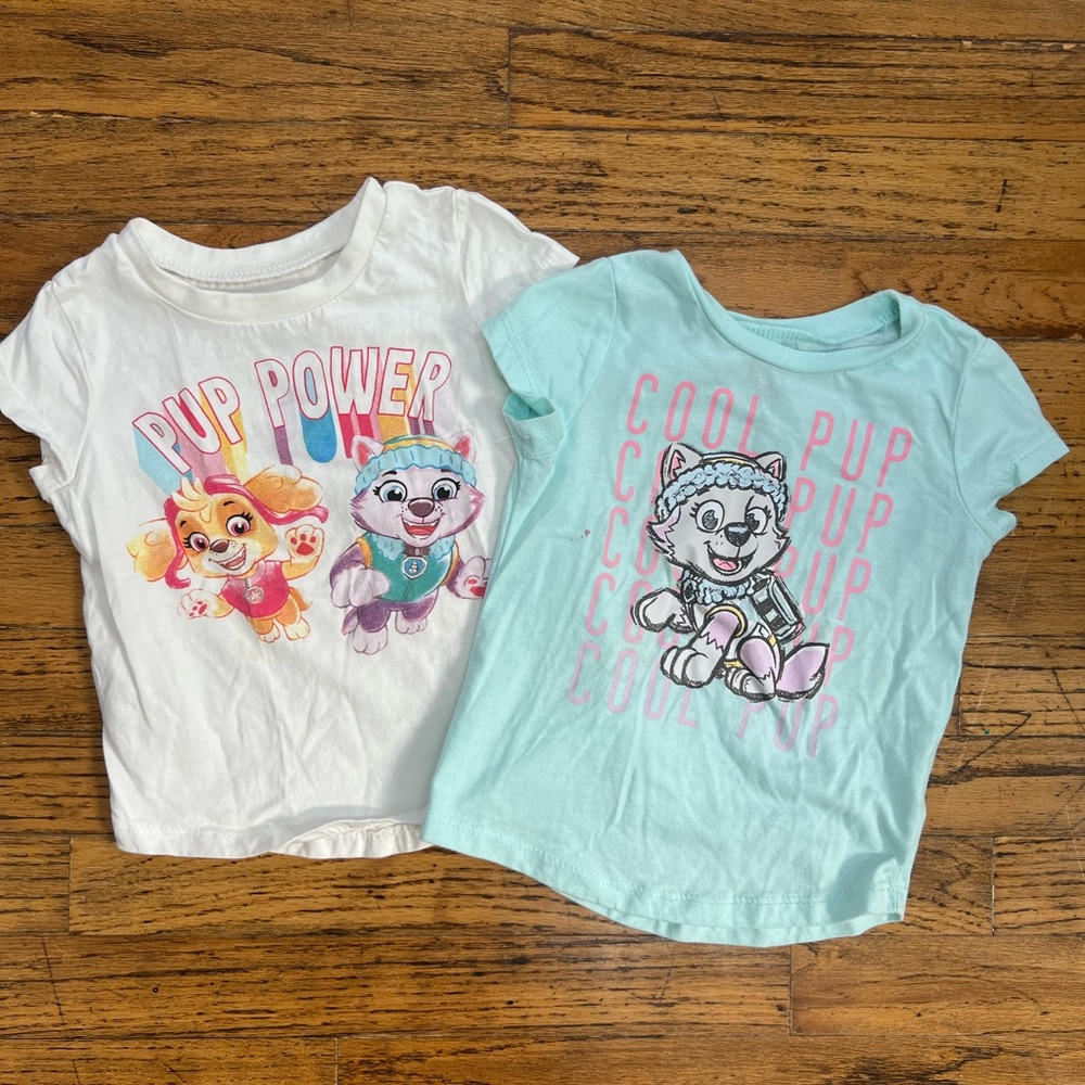 Paw Patrol Girls Short Sleeve Shirt Set Size 4T